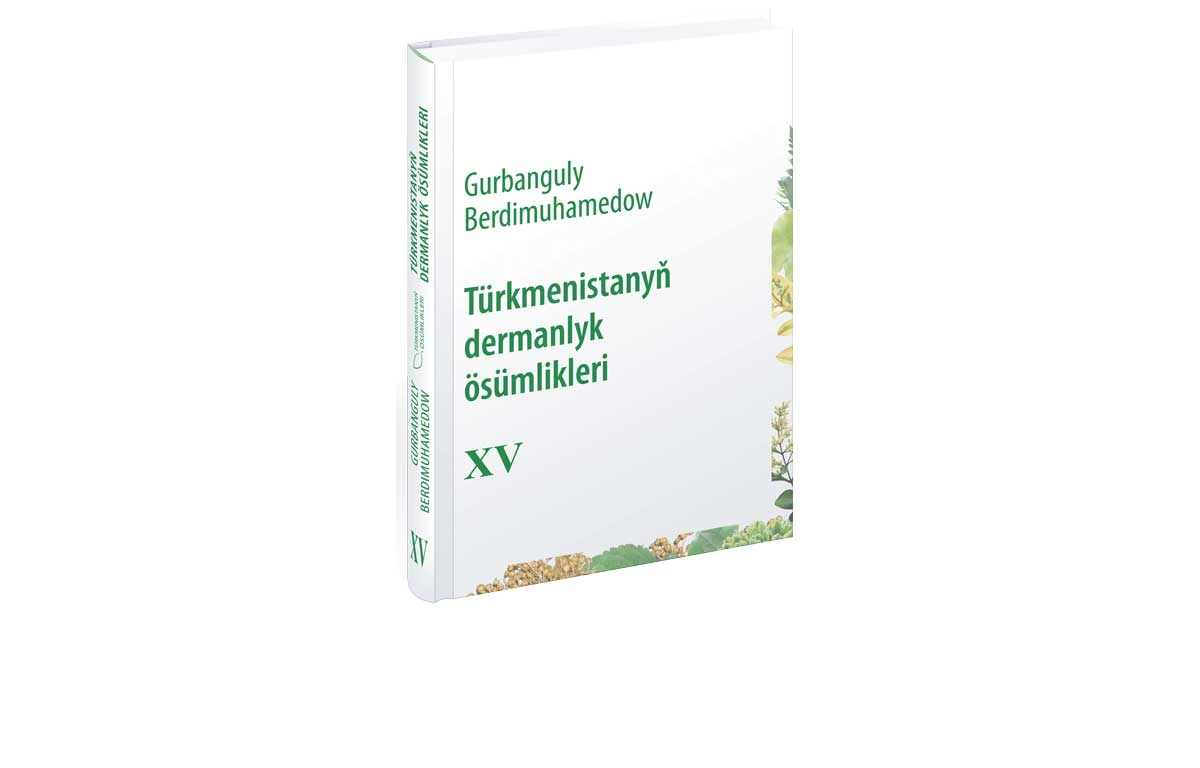 Tanyşdyryş dabarasy