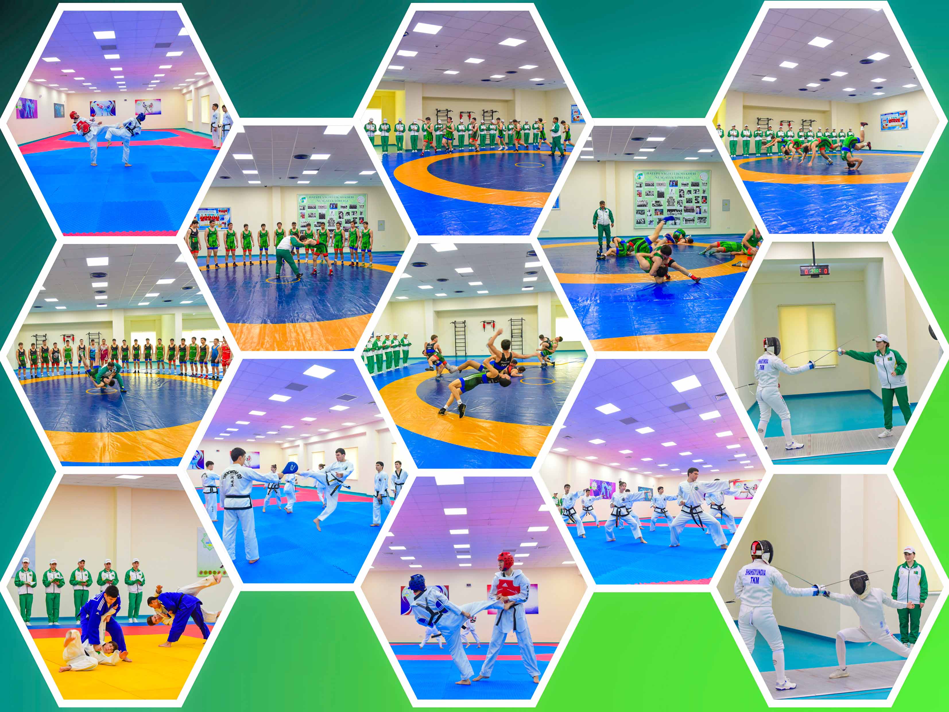 Практика – надёжная основа профессионального пути